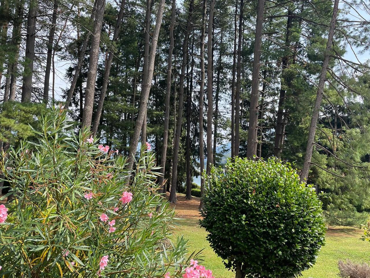 Villa Mario - Casa Vacanze 拉韦纳蓬泰特雷萨 外观 照片